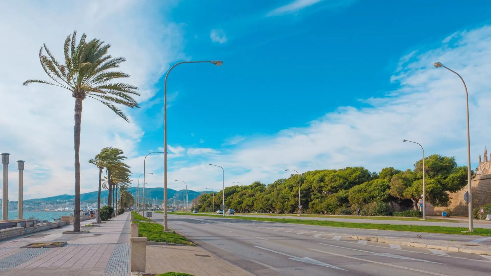 Apartamento Luminoso Y Proximo Al Mar En El Casco Historico De La Ciudad Πάλμα ντε Μαγιόρκα